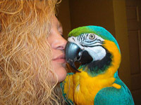 beak and nail trim